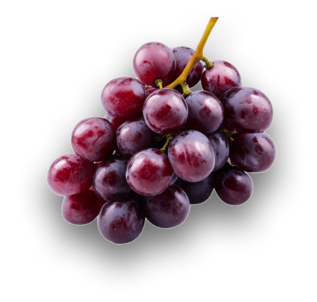 Uvas-18k-Wine-1 - Copia