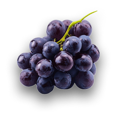 Uvas 18k Wine (2)