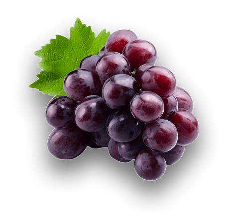 Uvas-18k-Wine-3 - Copia