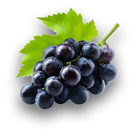 Uvas-18k-Wine-4 - Copia (3)